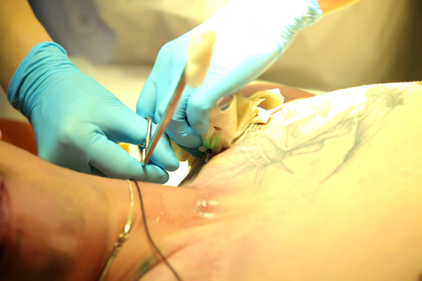 Cliquez pour agrandir la photo