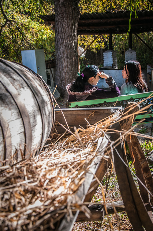 Cliquez pour agrandir la photo