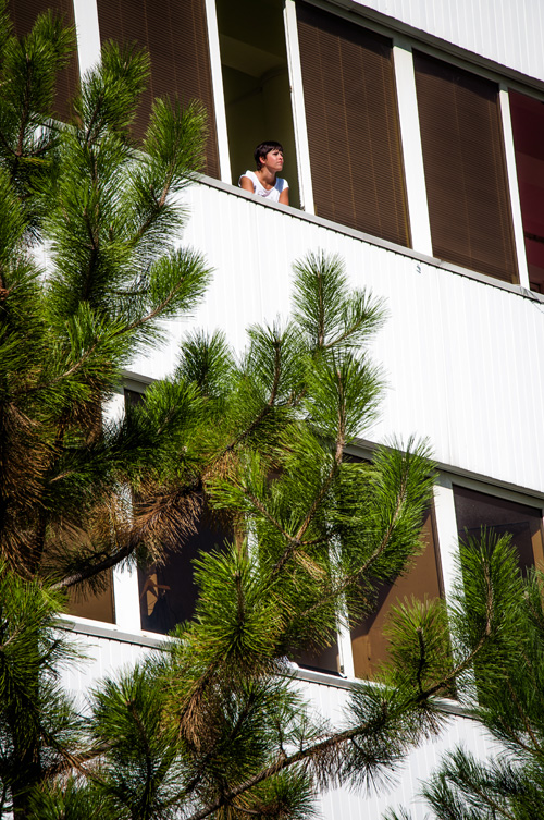 Haga click para ampliar la imagen