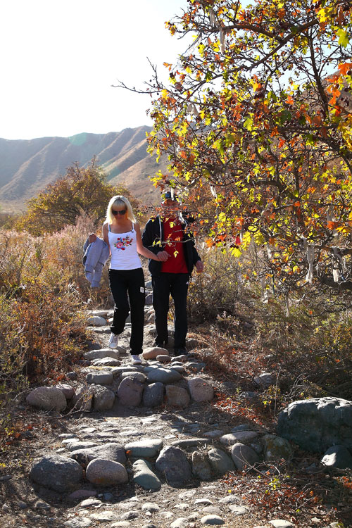 Cliquez pour agrandir la photo