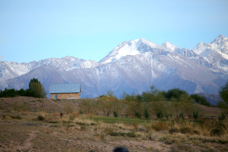 Cliquez pour agrandir la photo