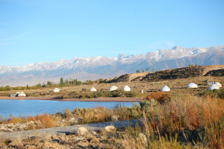 Cliquez pour agrandir la photo