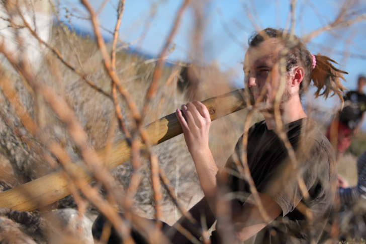 Cliquez pour agrandir la photo