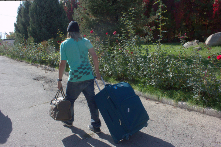 Cliquez pour agrandir la photo