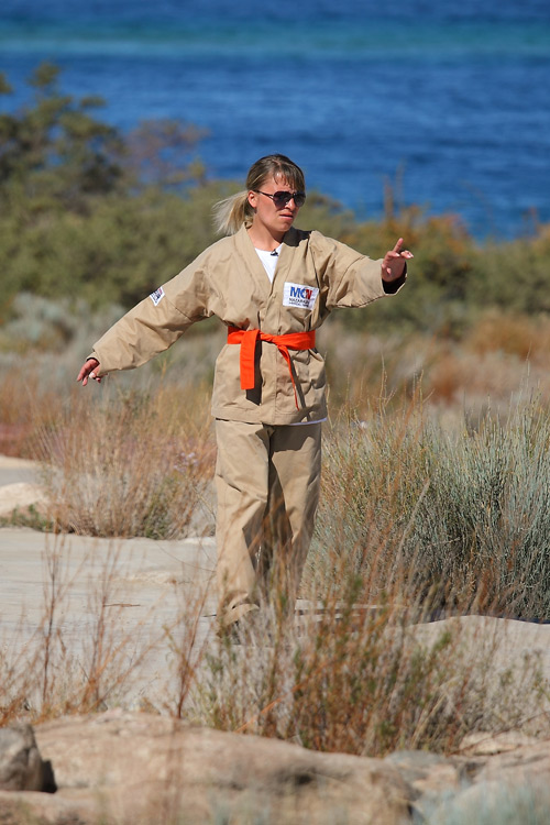 Cliquez pour agrandir la photo