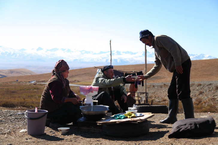 Cliquez pour agrandir la photo