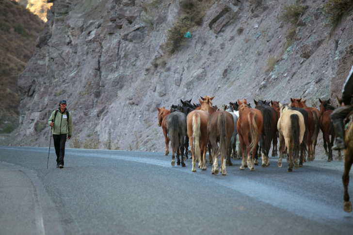 Cliquez pour agrandir la photo